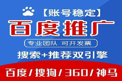 竞价广告的创意与执行：某快消品的营销突破